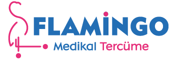Flamingo: Medikal Tercüme